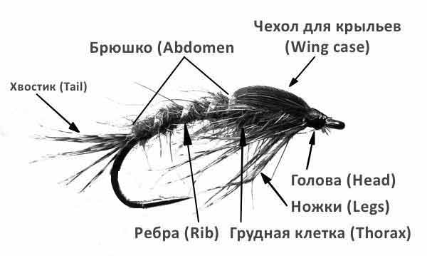 nymph-component.jpg