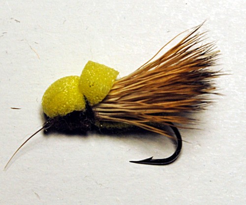 Caddis.JPG