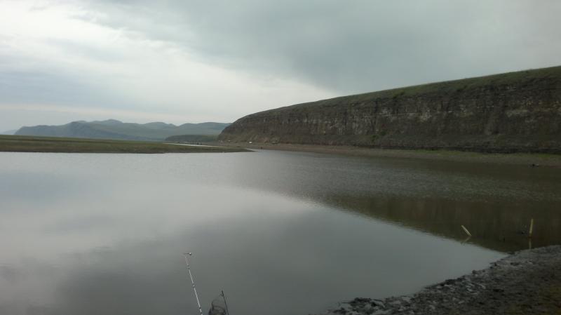 2017-05-20-3523.jpg