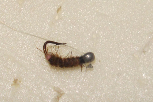 DSCF3936.JPG