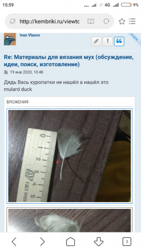 Screenshot_2020-03-08-15-59-08-598_com.android.browser.png