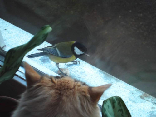 DSCF1020.JPG