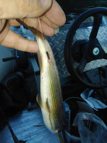 IMG_20200915_185850.jpg