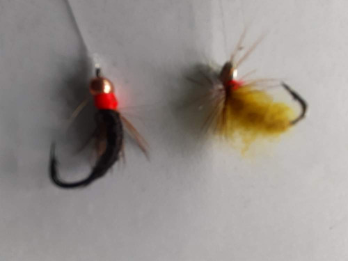 20200925_103013.jpg