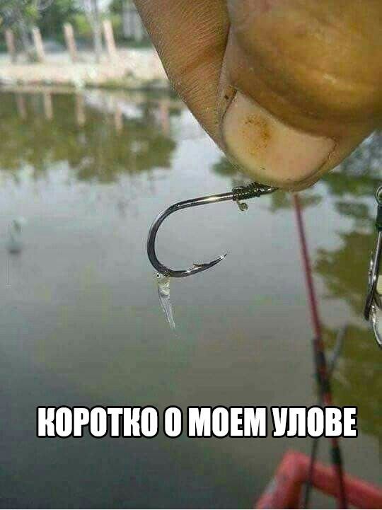 ulov.jpg