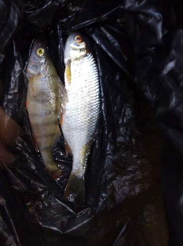 IMG_20201213_161740.jpg