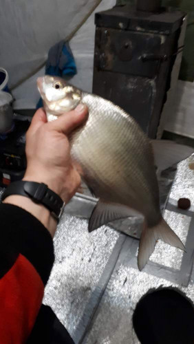 20201219_050557.jpg