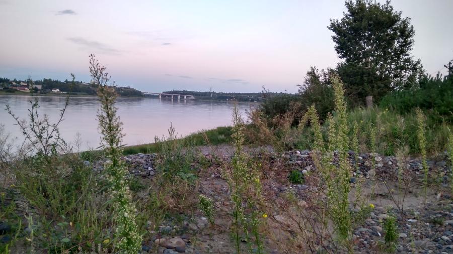 IMG_20170809_203226_HDR-2.jpg