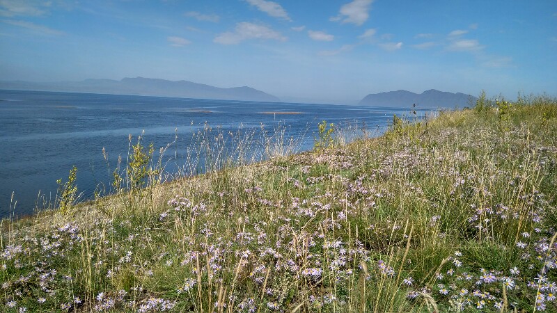 IMG_20170830_140733_HDR-800x450.jpg
