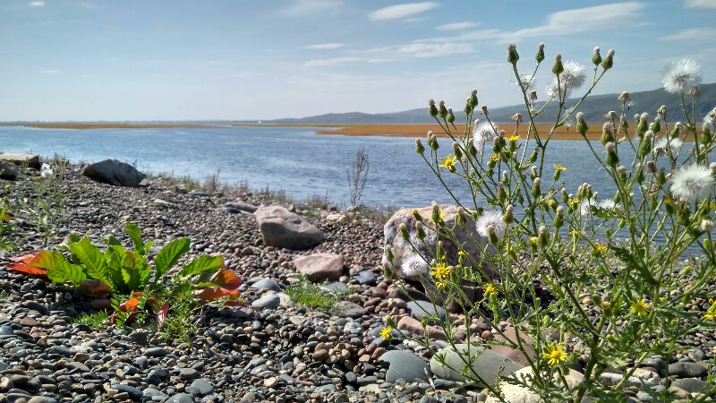 IMG_20170830_141554_HDR-800x450.jpg