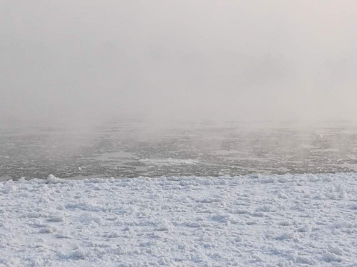 IMG_20220131_123756.jpg