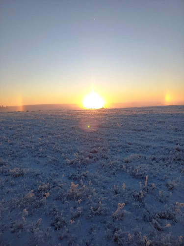20221204_090824.jpg