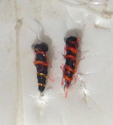 DSCF5213.JPG