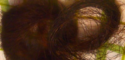 DSCF6664.JPG