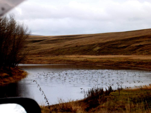 DSCF1071.JPG