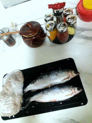 20241012_110810.jpg