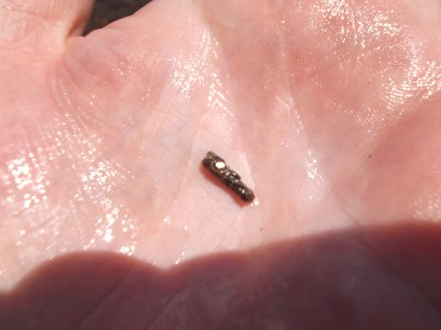 DSCF9748.JPG
