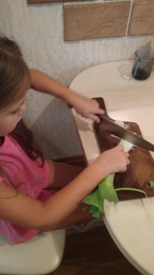IMG_20171007_084009.jpg