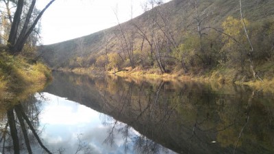 IMG_20171008_124511.jpg