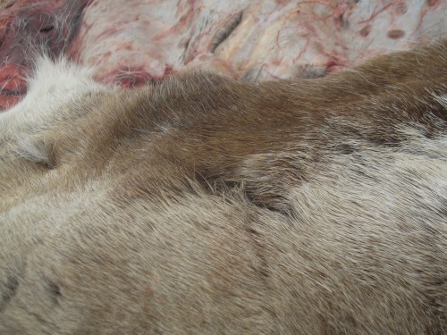 DSCF6755.JPG