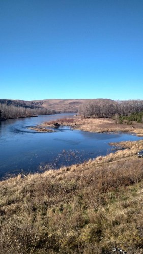 IMG_20171028_115655_HDR.jpg
