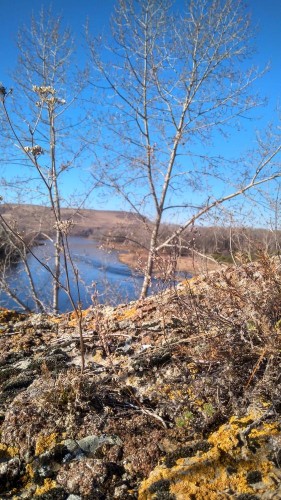 IMG_20171028_115910_HDR.jpg