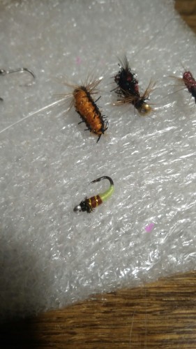 IMG_20171101_205137-1170x2080.jpg