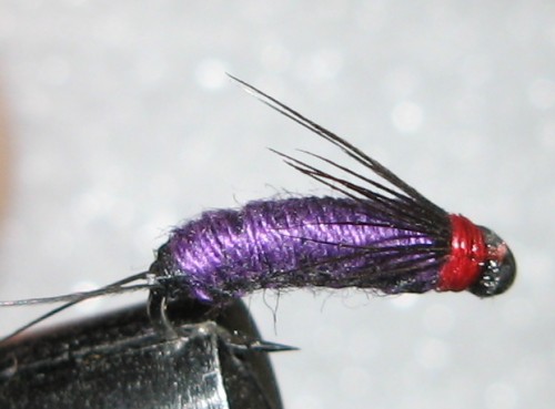 violett_black_red.jpg