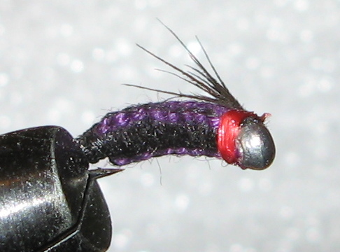 violett_black_red1.jpg