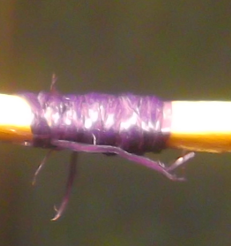 DSCF6817.JPG