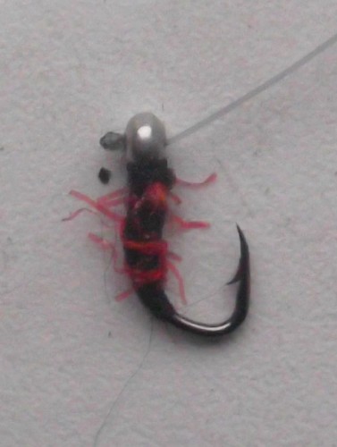 DSCF6824.JPG