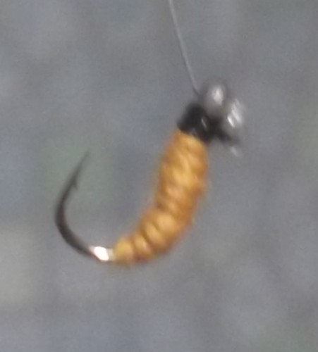 DSCF6901.JPG