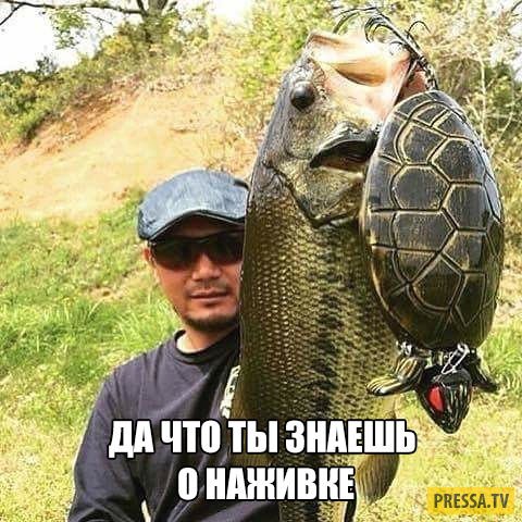 nazivka.jpg