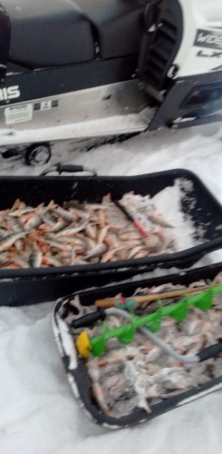 20171223_152508 (626x1280).jpg