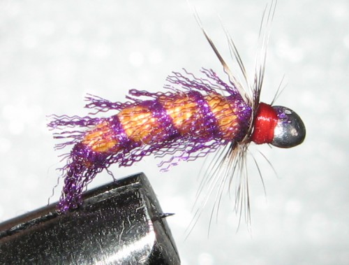 ponoska_s_organzoi.jpg