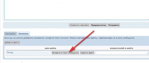 file1.jpg