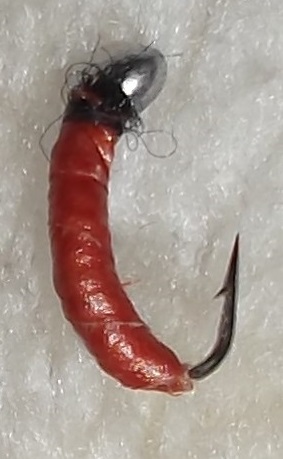 DSCF1454.JPG