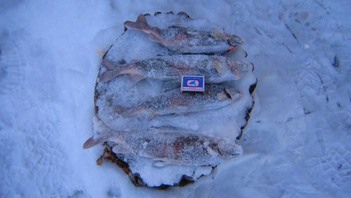 IMG_0765_.jpg