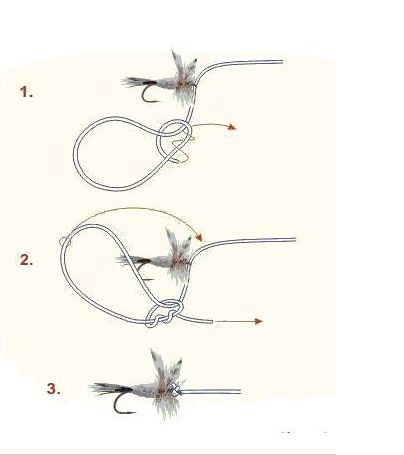 Улучшенный turle knot.jpg