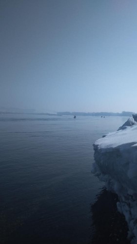 IMG_20180318_111529.jpg