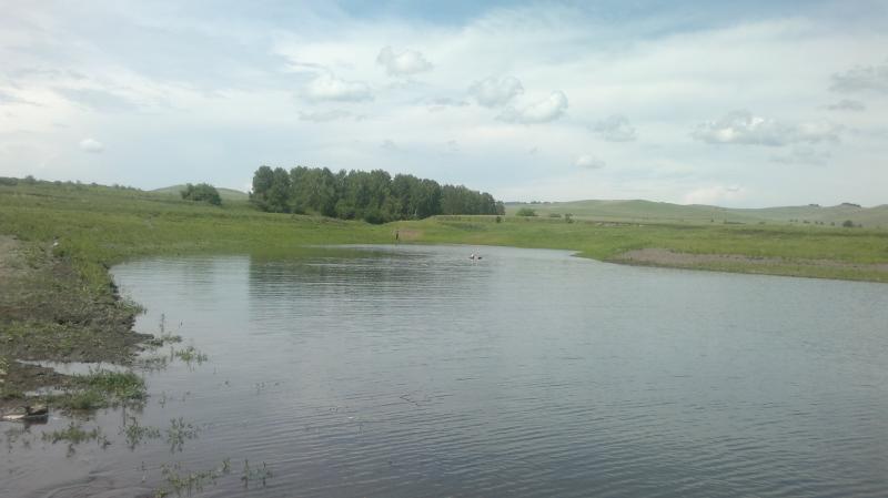 2016-06-19-2475.jpg
