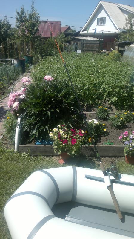 2016-06-28-2486.jpg