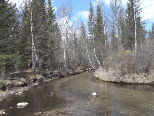 DSCF4916.JPG