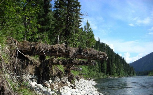 DSCN2902_.jpg