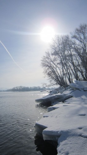 IMG_7679_.jpg