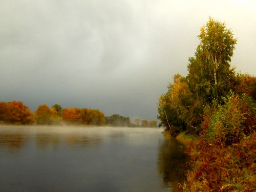 DSCF3103.JPG
