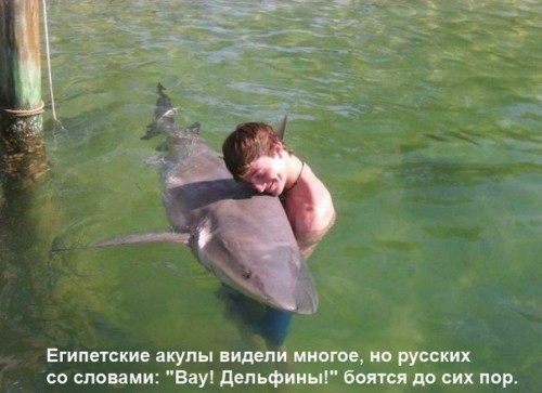 121833902_S7.jpg