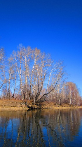 IMG_7861_.jpg