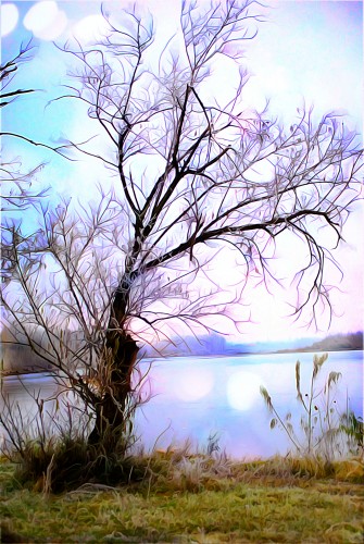 1047_01++.jpg