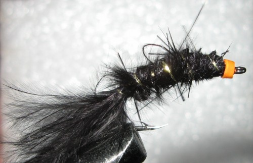 mini leech proba.jpg